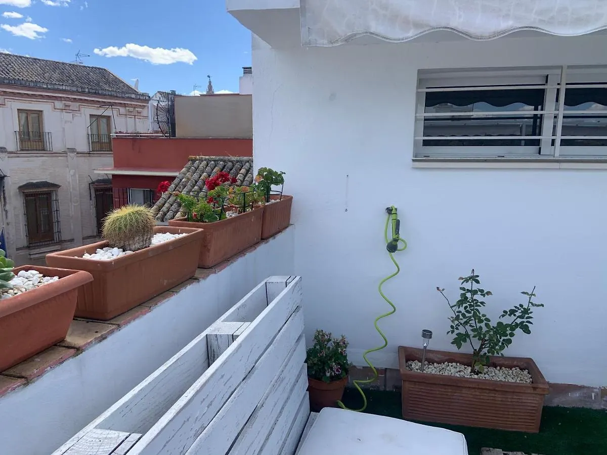 Lr2 Private Terrace & Parking Right In The City Center Seville Apartment